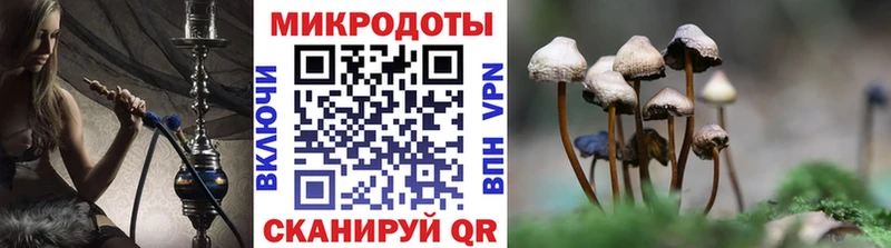Купить закладки  Гусев  Галлюциногенные грибы Psilocybine cubensis 